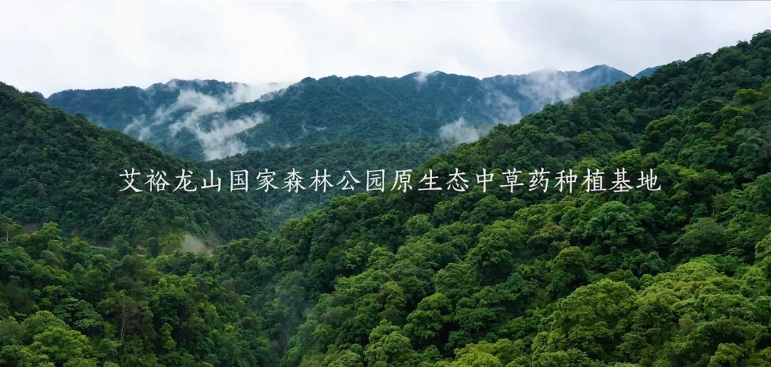 “裕我同行”丨選對(duì)產(chǎn)品，助攻保護(hù)力UP!